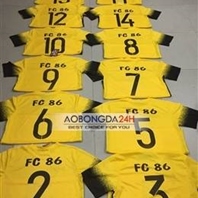 Mẫu in áo bóng đá số 9