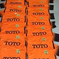 Mẫu in áo đá banh số 12